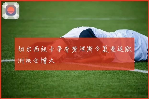 切尔西纽卡争夺努涅斯今夏重返欧洲机会增大