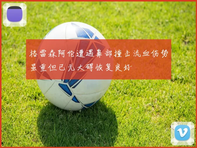 格雷森阿伦遭遇鼻部撞击流血伤势虽重但已无大碍恢复良好