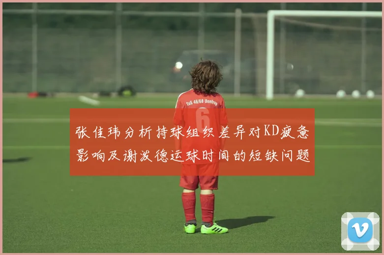张佳玮分析持球组织差异对KD疲惫影响及谢泼德运球时间的短缺问题