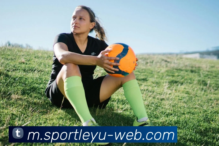 乐鱼体育平台生态图